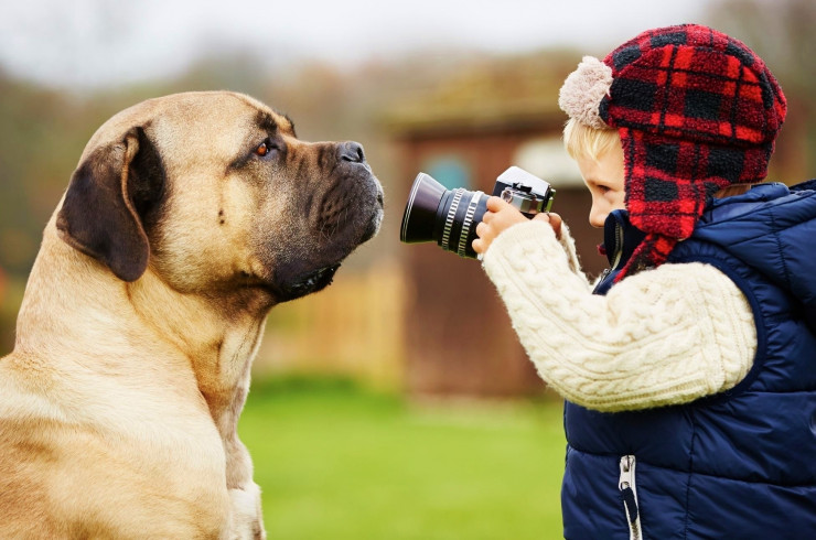 Как фотографировать собаку